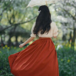 New Chinese Style Elements Dress and Skirt Set