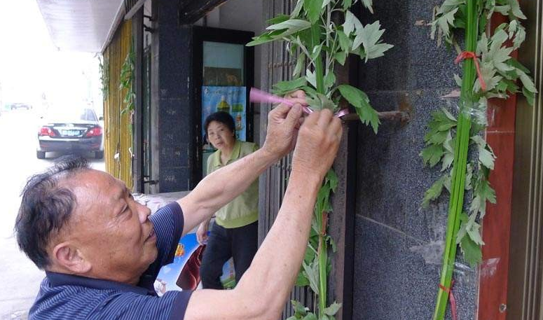 Hanging Chinese Mugwort and Calamus